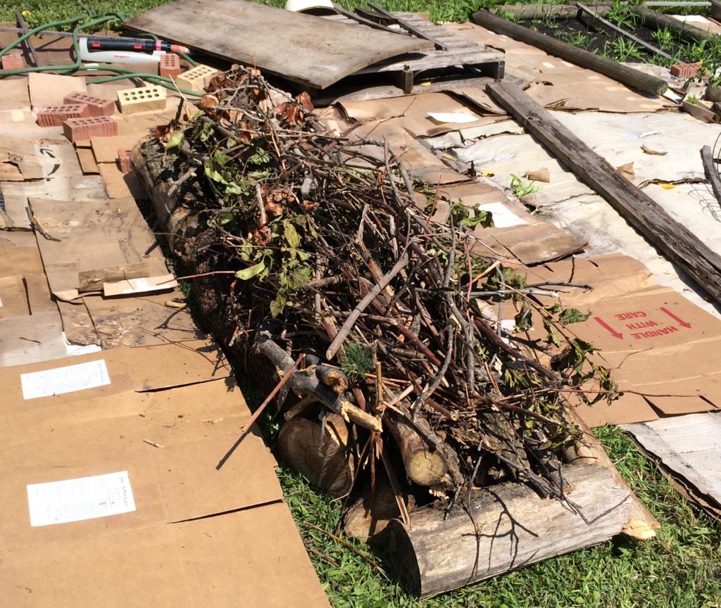 Rotting sticks and logs laid as base to Hugelkultur garden bed