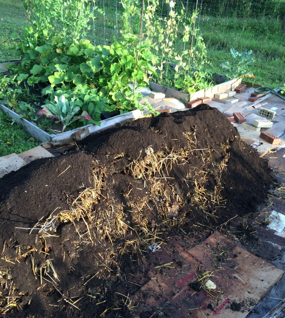 Gardening watering solution: Hugelkultur garden