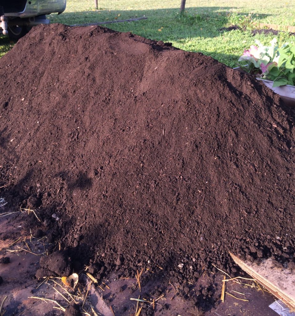 Hugelkultur mound covered with compost and top soil