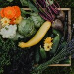 yellow white and orange flowers