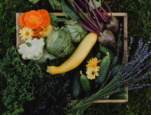 yellow white and orange flowers