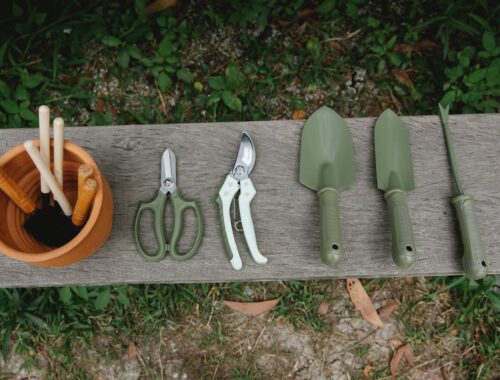 gardening tools on wooden bench in yard