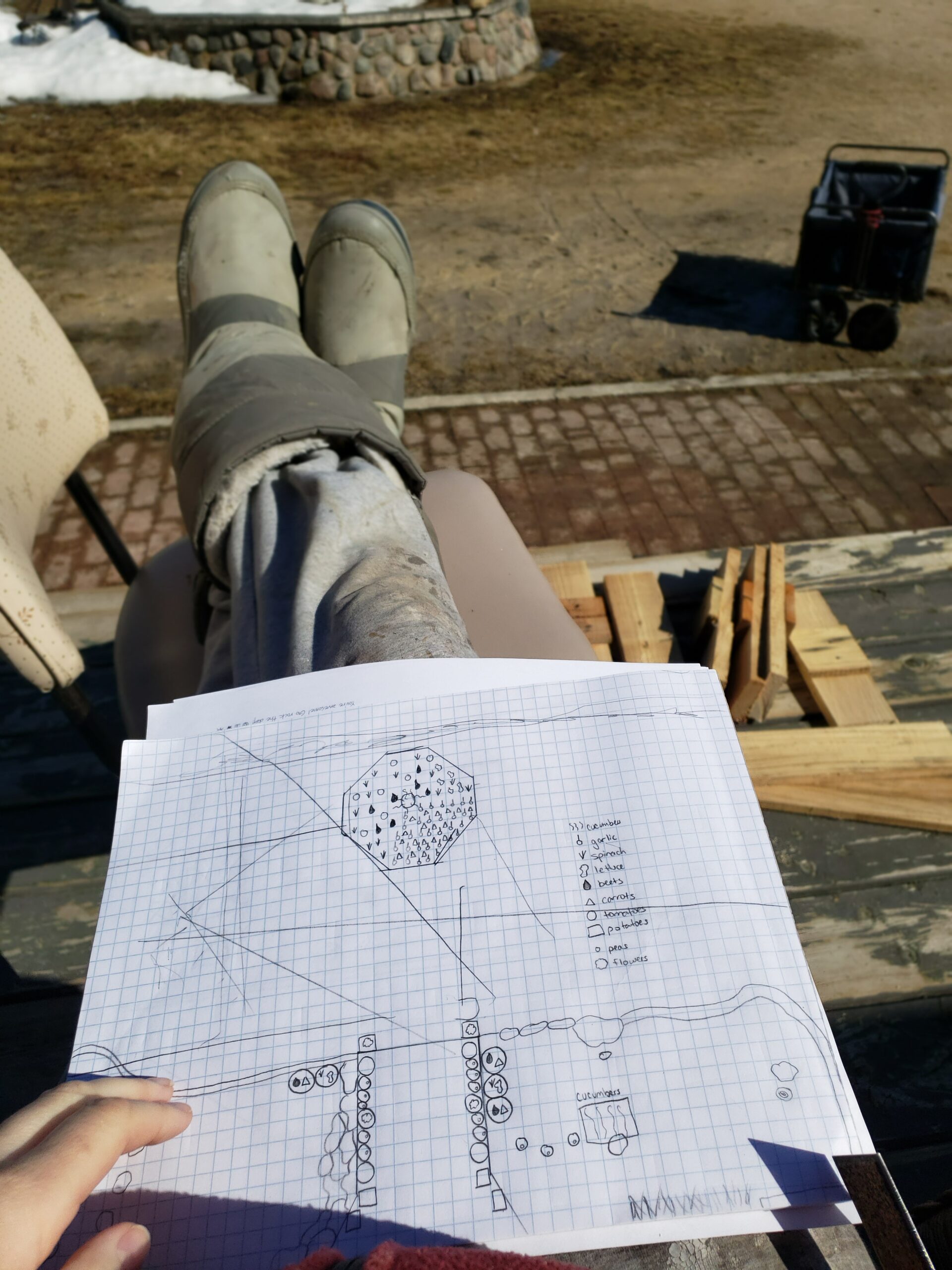 Planning garden layout