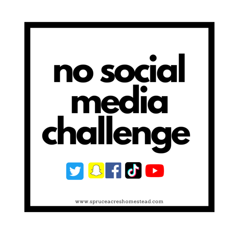 The No Social Media Challenge by Spruce Acres Homestead