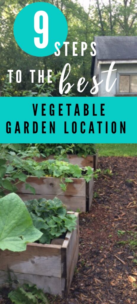 9 steps to choosing the best vegetable garden location.