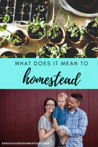 What does it mean to homestead perspective by Spruce Acres Homestead