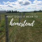 What does it mean to homestead