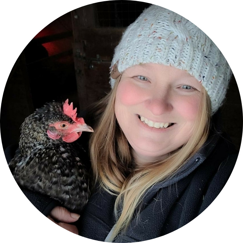 What does it mean to homestead perspective by Little Acre Farm