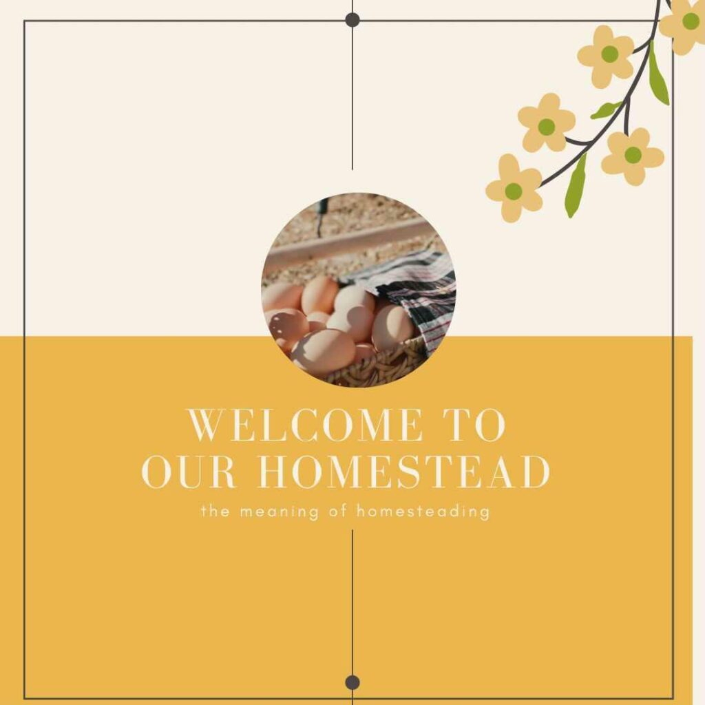 What does it mean to homestead: a collaborative perspective