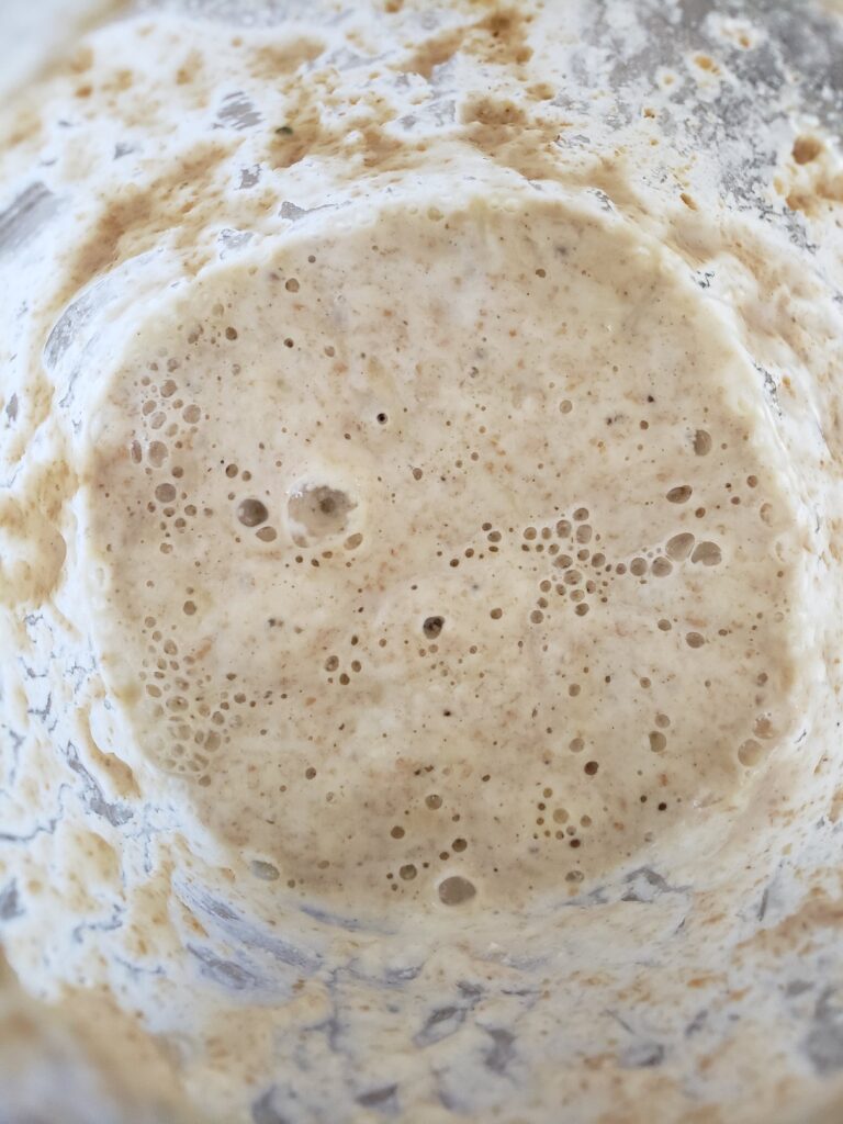 An active, ready sourdough starter