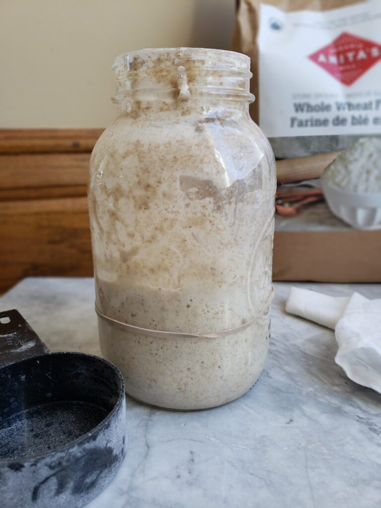 Sourdough starter