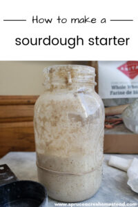 Make your own sourdough starter