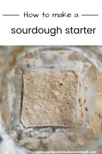 How to make a sourdough starter