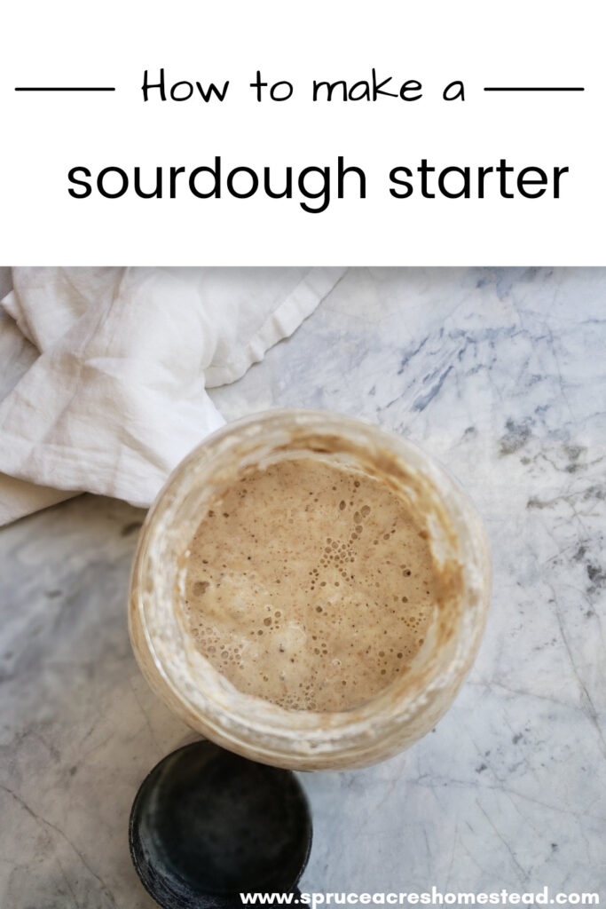 Learn how to make a sourdough starter from scratch 