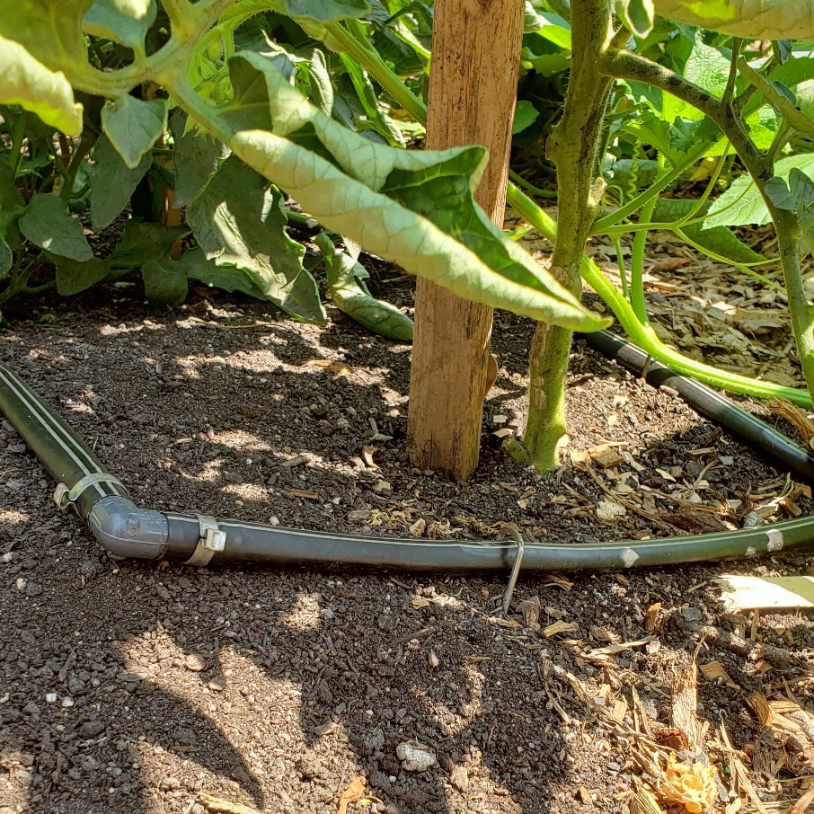 Gardening watering solution: drop irrigation setup