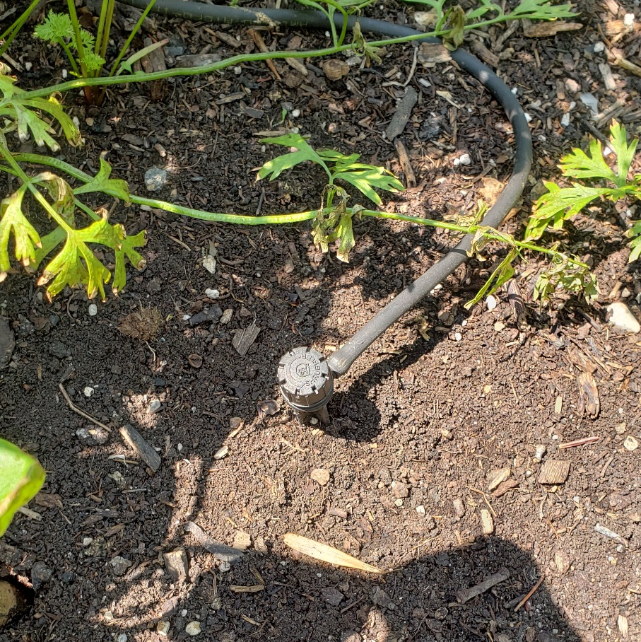 Gardening watering solution: mini sprinklerd