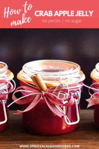 Crab apple jelly recipe water bath canning beginner recipe 