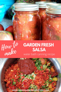 Fresh garden salsa recipe water bath canning beginner recipe